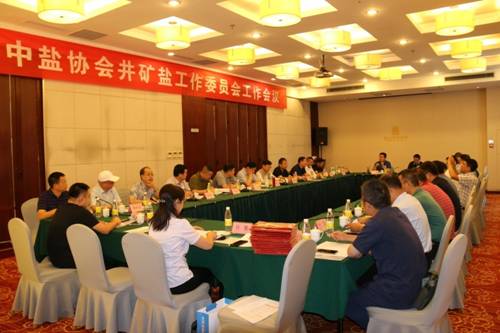 中盐协会井矿盐工作委员会工作会议在泰安召开