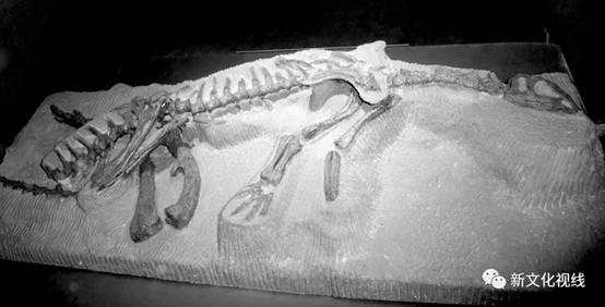 《盐都C大调》足音5